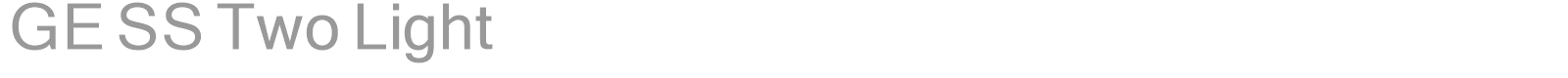 GE SS Two Light font preview